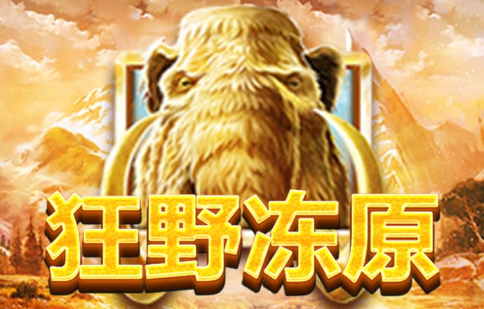 星空综合体育全站app